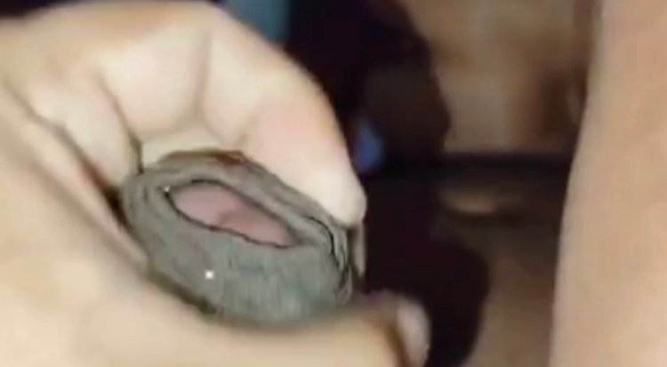 Corninho bateu uma pro comedor enquanto a esposa estava sendo chupada